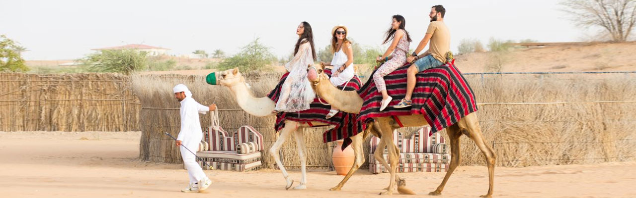 Camel Ride Dubai