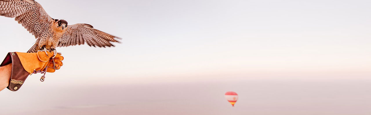 Hot Air Balloon with Falcon Show