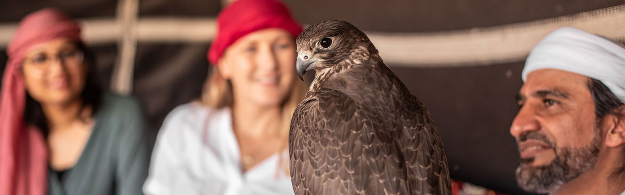 Bedouin Culture Safari Falcons