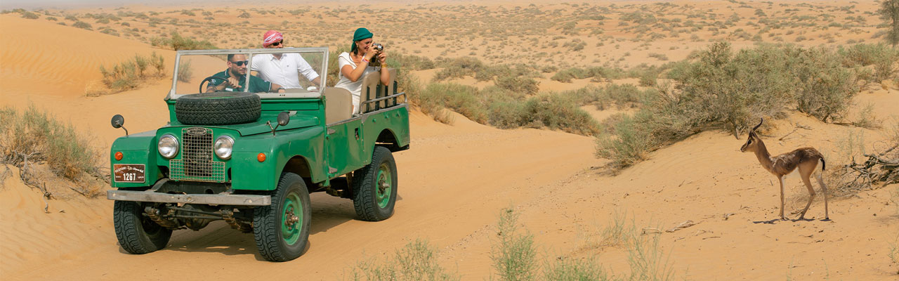 Bedouin Culture Safari Vintage Land Rovers Tour