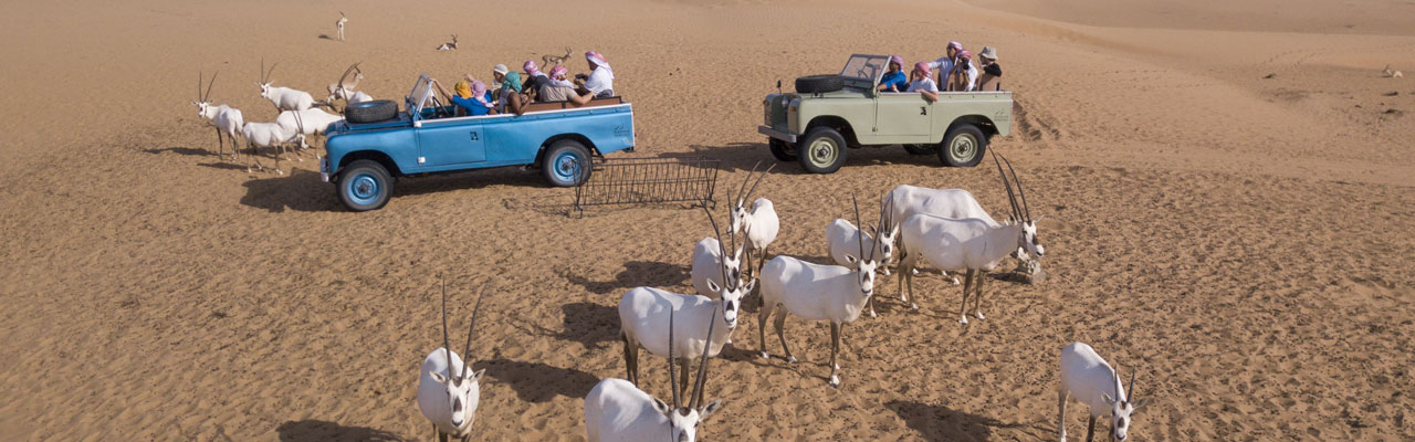 Dubai Heritage Desert Safari