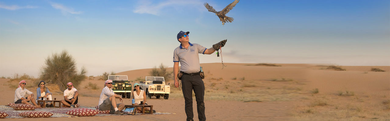 Heritage Desert Safari Falcon