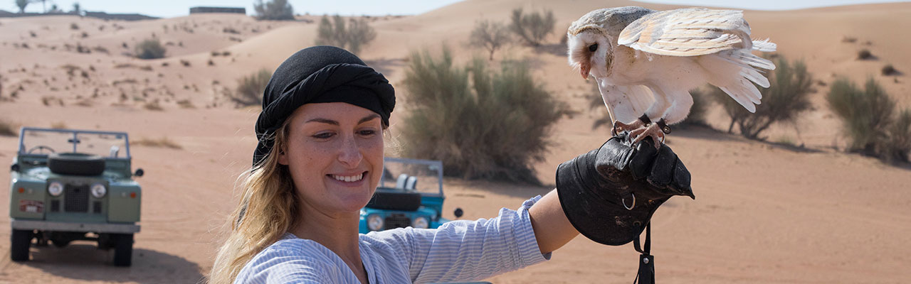 Luxury Desert Safari with Falcon