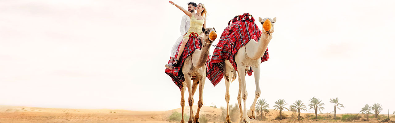 Camel Ride