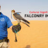 Cultural Significance of Falconry in the UAE