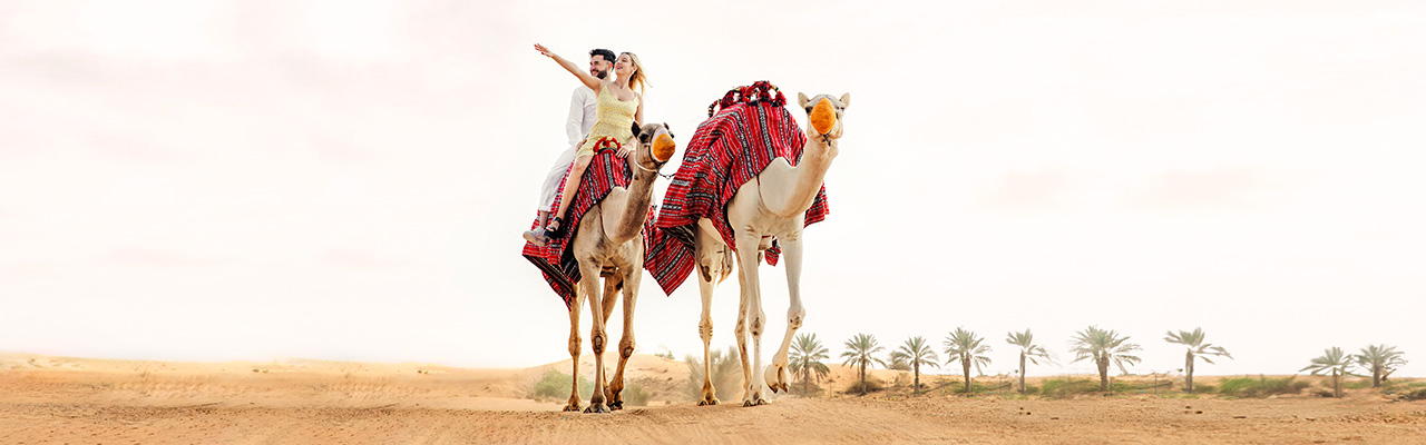 Camel Ride