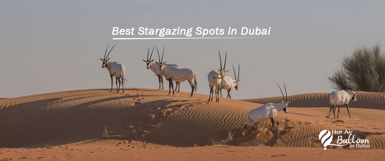 Best Stargazing Spots in Dubai