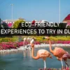 Eco-Friendly Experiences in Dubai