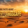 Interesting Facts About Dubai Desert Landscape